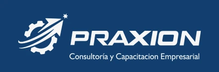 Praxion Logo